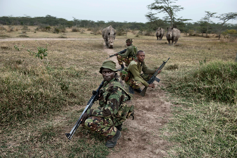 Guards protecting the three remaining Northern White Rhinos at Ol Pejeta Conservancy in Kenya. Kate Brooks for The Last Animals.